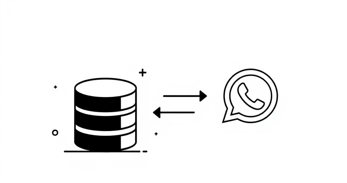 如何利用WhatsApp进行高效的客户关系管理（CRM）